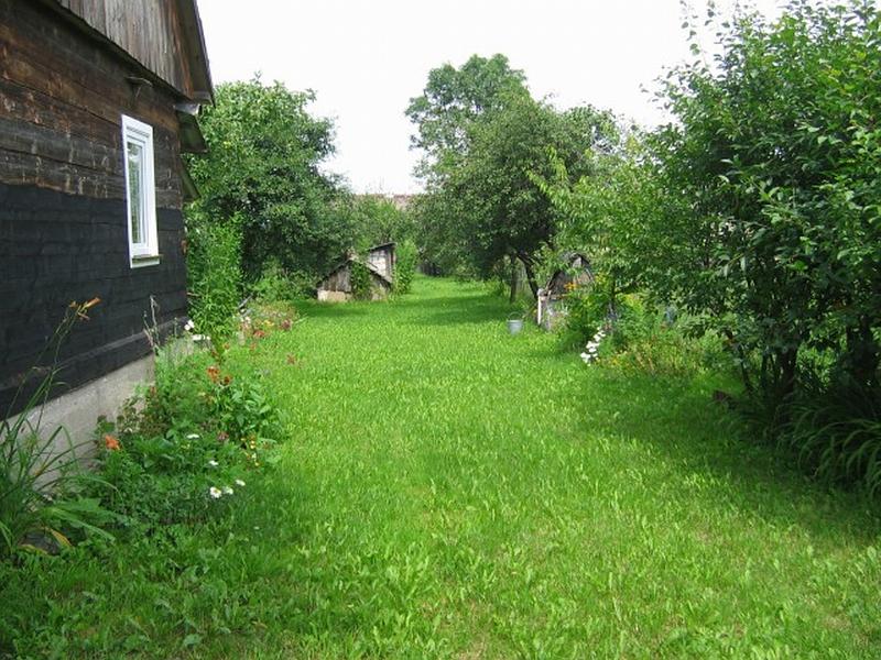 moje_podworko012.jpg