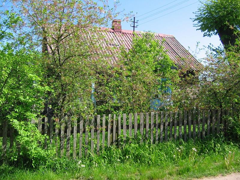 moje_podworko034.jpg
