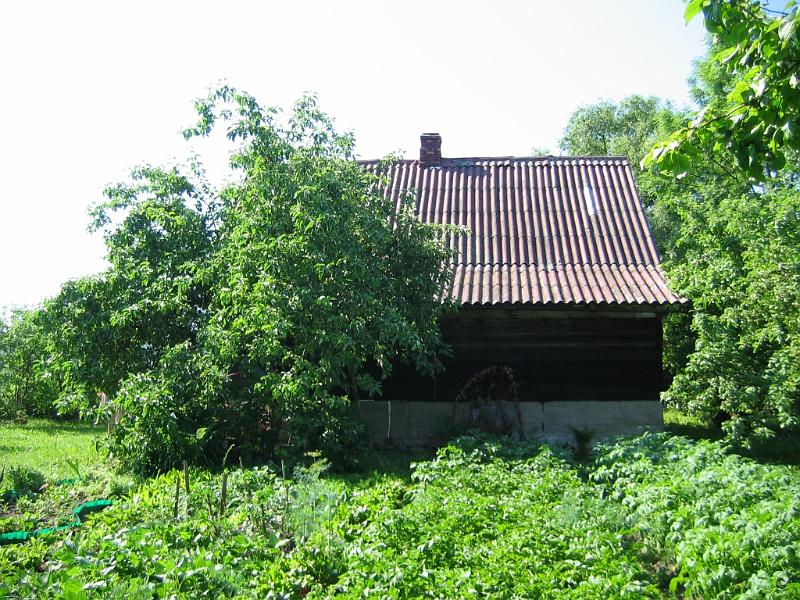 moje_podworko056.jpg